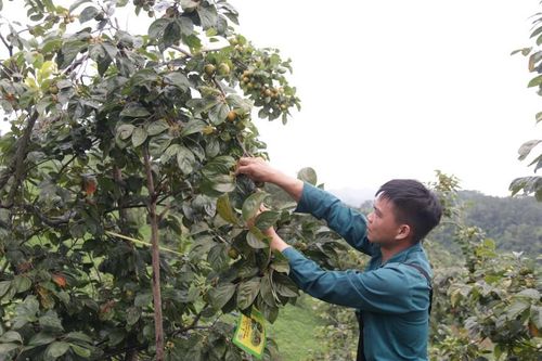 Quyết Tiến vươn lên