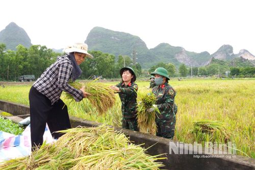 Chung sức, đồng lòng giúp đỡ người dân vùng lũ