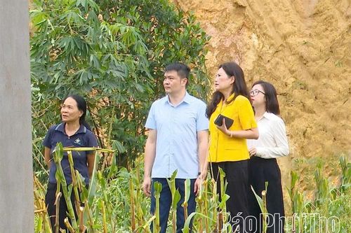 Thanh Ba nhanh chóng khắc phục hậu quả mưa bão