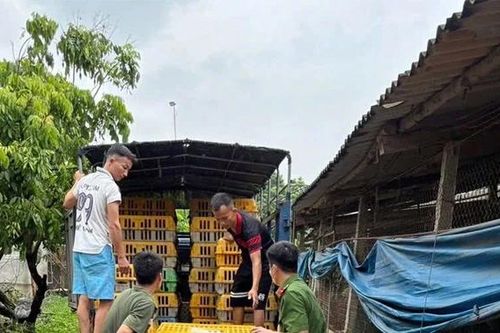 Các xã ven sông Lô chủ động ứng phó với hoàn lưu bão số 10