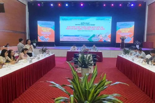 Phát triển chăn nuôi hữu cơ gắn với xây dựng thương hiệu sản phẩm