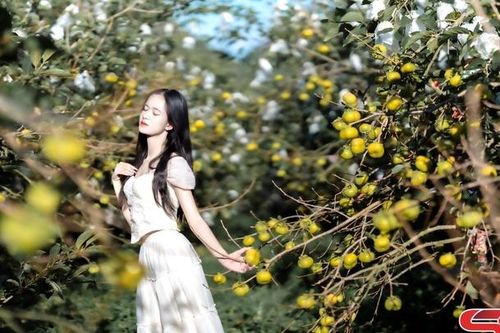 Du lịch nông nghiệp sản phẩm độc đáo trên cao nguyên