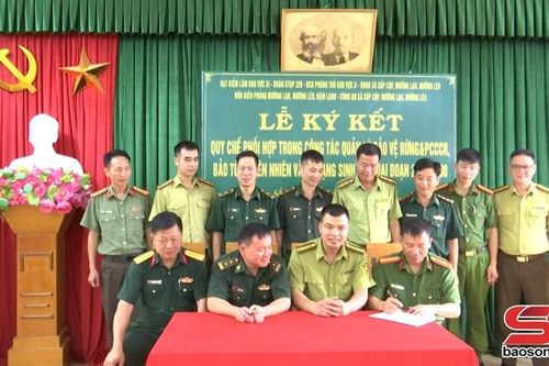 Lễ ký kết Quy chế phối hợp trong công tác quản lý bảo vệ rừng, phòng cháy, chữa cháy rừng, bảo tồn thiên nhiên và đa dạng sinh học, giai đoạn 2025 – 2030