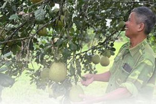 Bất ngờ với tổ hợp kinh tế 'không bỏ thứ gì'