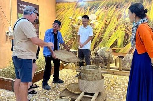 Nông dân trẻ trở về, ruộng đồng thành điểm đến và câu chuyện nông thôn mới Ninh Bình