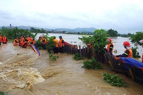 Kịp thời xử lý sự cố đê bối Sông Cầu