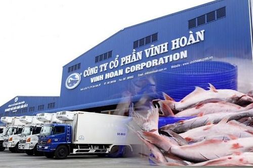 Doanh thu tại thị trường Mỹ trong tháng 8 của Vĩnh Hoàn (VHC) 'sụt' mạnh