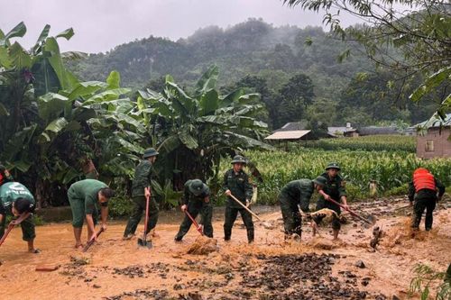 Trên 5.000 ha lúa và hoa màu bị thiệt hại do ảnh hưởng của bão lũ