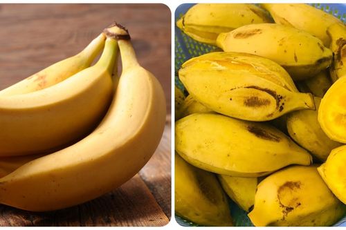 Mỗi ngày ăn một trái chuối có tốt?