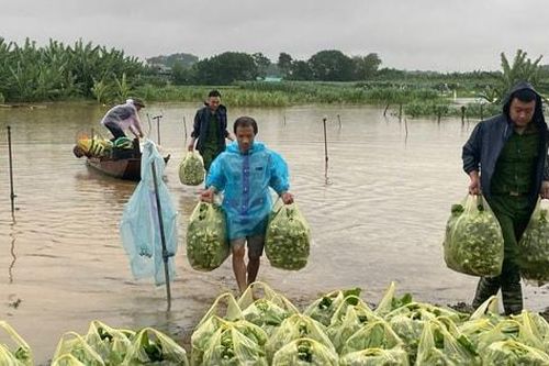 Xã Minh Châu kịp thời sơ tán dân, bảo vệ đàn gia cầm, hoa màu
