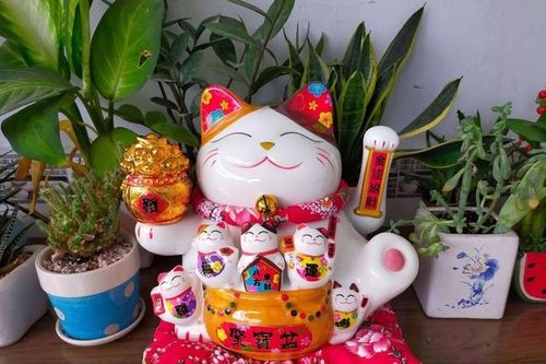 Cách đặt mèo Thần tài chuẩn phong thủy, không bị phạm