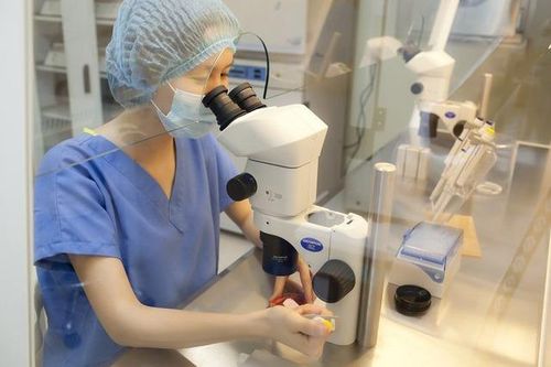 Những chính sách nổi bật có hiệu lực từ tháng 10/2025: Phụ nữ độc thân được quyền sinh con bằng IVF