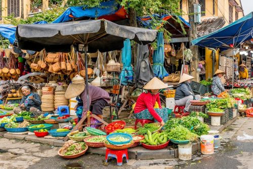 Báo ngoại gợi ý 15 trải nghiệm 'phải thử' tại Việt Nam