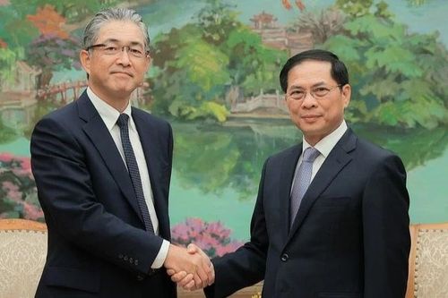 Phó Thủ tướng Bùi Thanh Sơn tiếp Tổng Giám đốc khối điện và hạ tầng toàn cầu Tập đoàn Marubeni (Nhật Bản) Naoki Ito