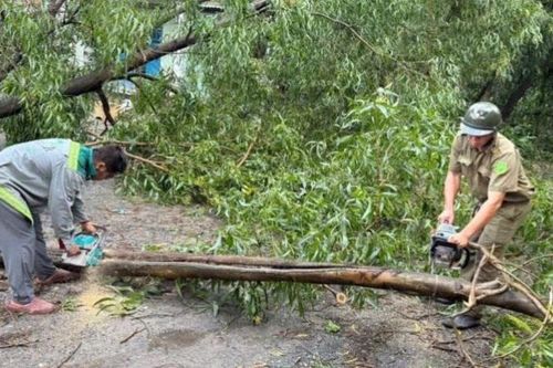 Khắc phục hậu quả cơn mưa lớn kèm gió giật làm 2 người bị thương ở Thành phố Hồ Chí Minh