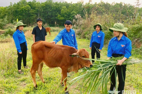 Gắn bó với vùng biên Đông Bắc