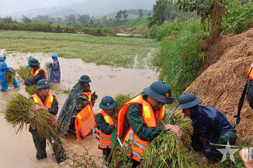 Những 'ngôi sao xanh' ấm lòng dân bản