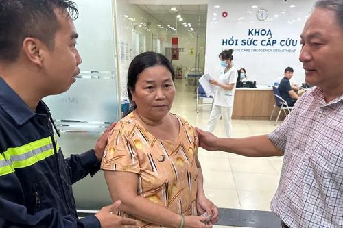Mưa gió làm nhiều cây xanh ngã đổ
