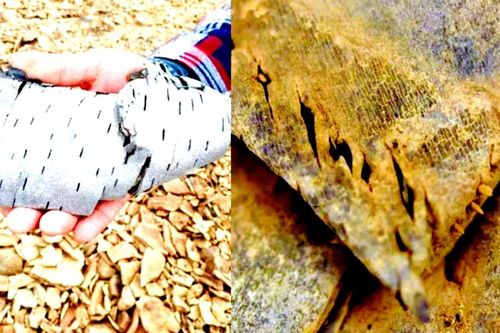 Băng tan bất ngờ lộ hiện vật 7.000 năm tuổi bí ẩn