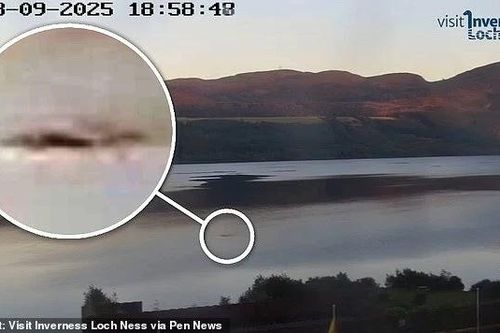 Thủy quái hồ Loch Ness bất ngờ trồi lên giữa ban ngày