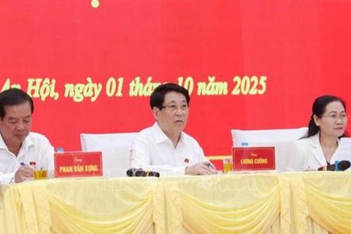 Thành phố Hồ Chí Minh: Cần quan tâm chỉ đạo, giải quyết một số vấn đề quan trọng mà cử tri rất quan tâm