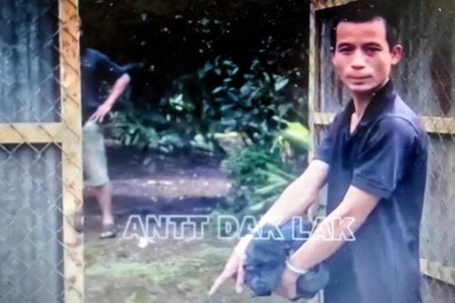 Bắt nhanh nhóm đối tượng dùng ô tô tải trộm sầu riêng