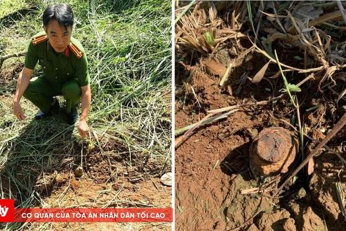 Phát cỏ vườn nhà, lòi ra… đầu đạn