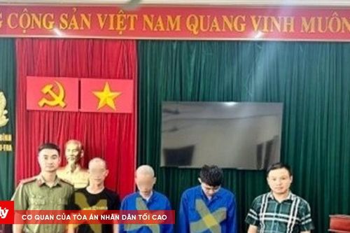 Livestream bán đá 'đổ thạch' để lừa đảo chiếm đoạt tài sản