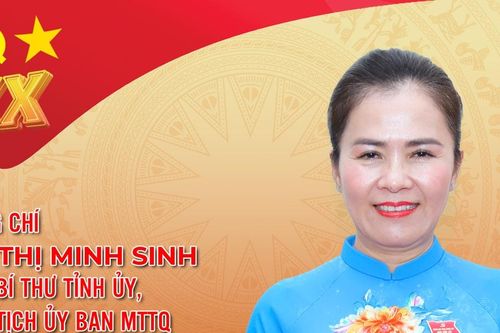 Infographic: Chân dung đồng chí Võ Thị Minh Sinh - Phó Bí thư Tỉnh ủy Nghệ An khóa XX