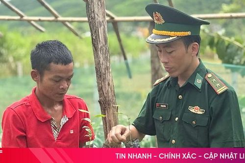 Trồng trầm hương – bước thử nghiệm cho sinh kế mới ở bản Rào Tre