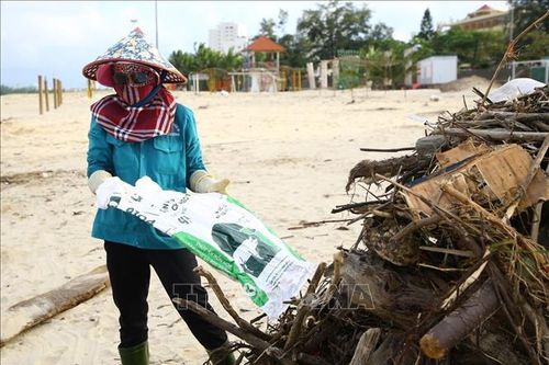 Huy động lực lượng và phương tiện làm sạch bãi biển Nhật Lệ sau bão