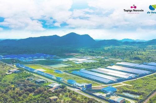 Từ 'đại bản doanh' Việt Nam, tập đoàn châu Âu vươn ra châu Á