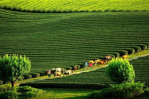 Gợi ý những địa điểm du lịch không thể bỏ lỡ vào tháng 10