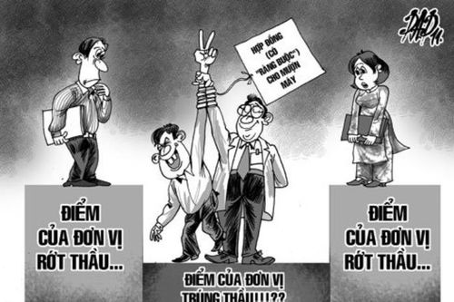 Nhà thầu gian lận hồ sơ và rủi ro đạo đức