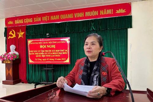 Tiếp xúc cử tri trước Kỳ họp thứ 10, Quốc hội khóa XV