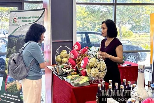 Lạng Sơn có 2 gian hàng giới thiệu sản phẩm tại Hội chợ quốc tế thương mại, du lịch và đầu tư Hành lang kinh tế Đông Tây - Đà Nẵng năm 2025