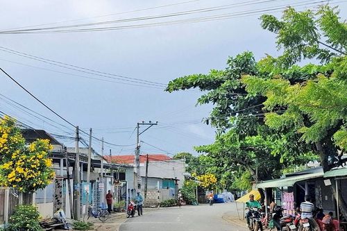 Đồng bào Chăm đoàn kết xây dựng cuộc sống ấm no