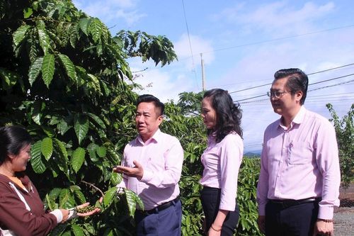 Chuyển đổi số trong nông nghiệp - góc nhìn của nhà nông