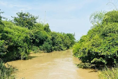Nỗ lực tìm kiếm một người dân bị nước cuốn trôi