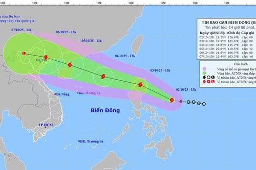 Chủ tịch UBND tỉnh Lâm Đồng chỉ đạo khẩn trương ứng phó với áp thấp nhiệt đới gần Biển Đông