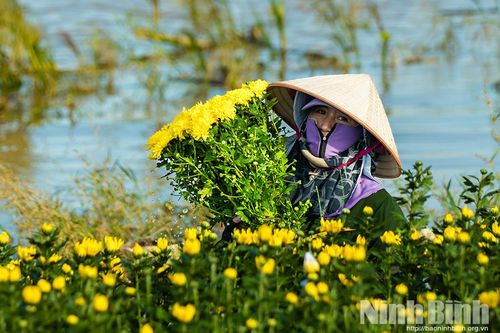 Phường Thiên Trường khẩn trương ứng phó lũ