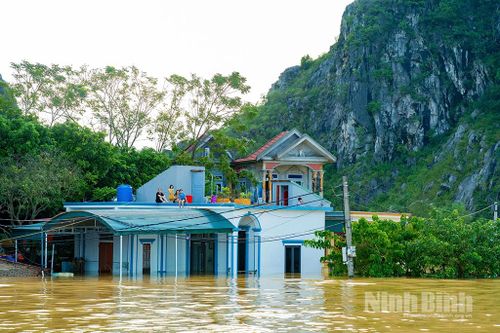 Ninh Bình: Các địa phương ven sông chủ động ứng phó nước lũ dâng cao
