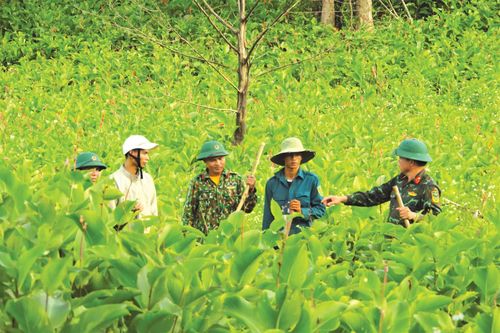 Lan tỏa phong trào 'Dân vận khéo' ở miền núi