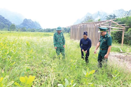 Mang no ấm đến các bản làng