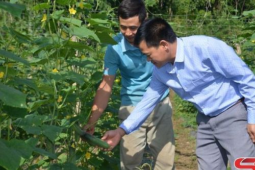 Đồng hành cùng nông dân phát triển kinh tế