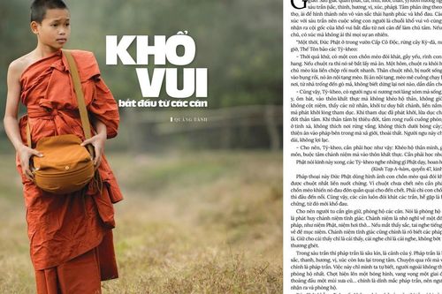 Khổ vui bắt đầu từ các căn