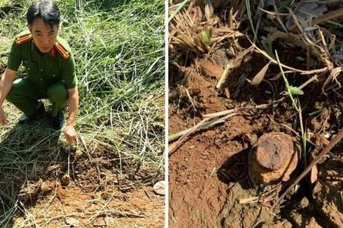 Đồng Nai: Nông dân phát hiện vật thể nghi đầu đạn sót lại trong rẫy cao su