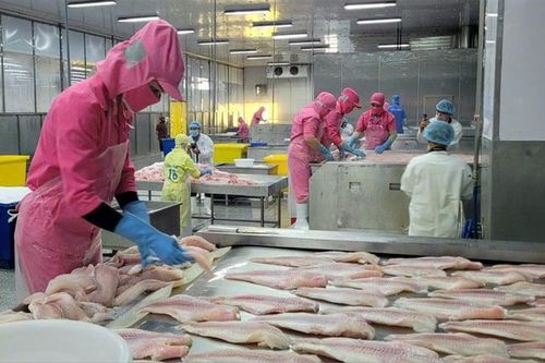 Xuất khẩu cá rô phi tăng gần 180%, lập kỷ lục 5 năm