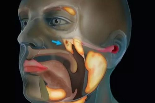 Phát hiện bất ngờ: Tìm thấy cơ quan mới trong cơ thể người