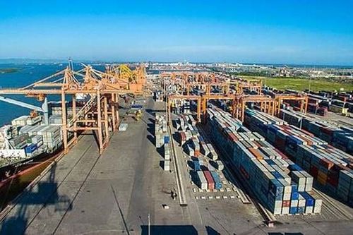 Kinh doanh dưới giá vốn, MHC không muốn đầu tư vào lĩnh vực dịch vụ vận tải